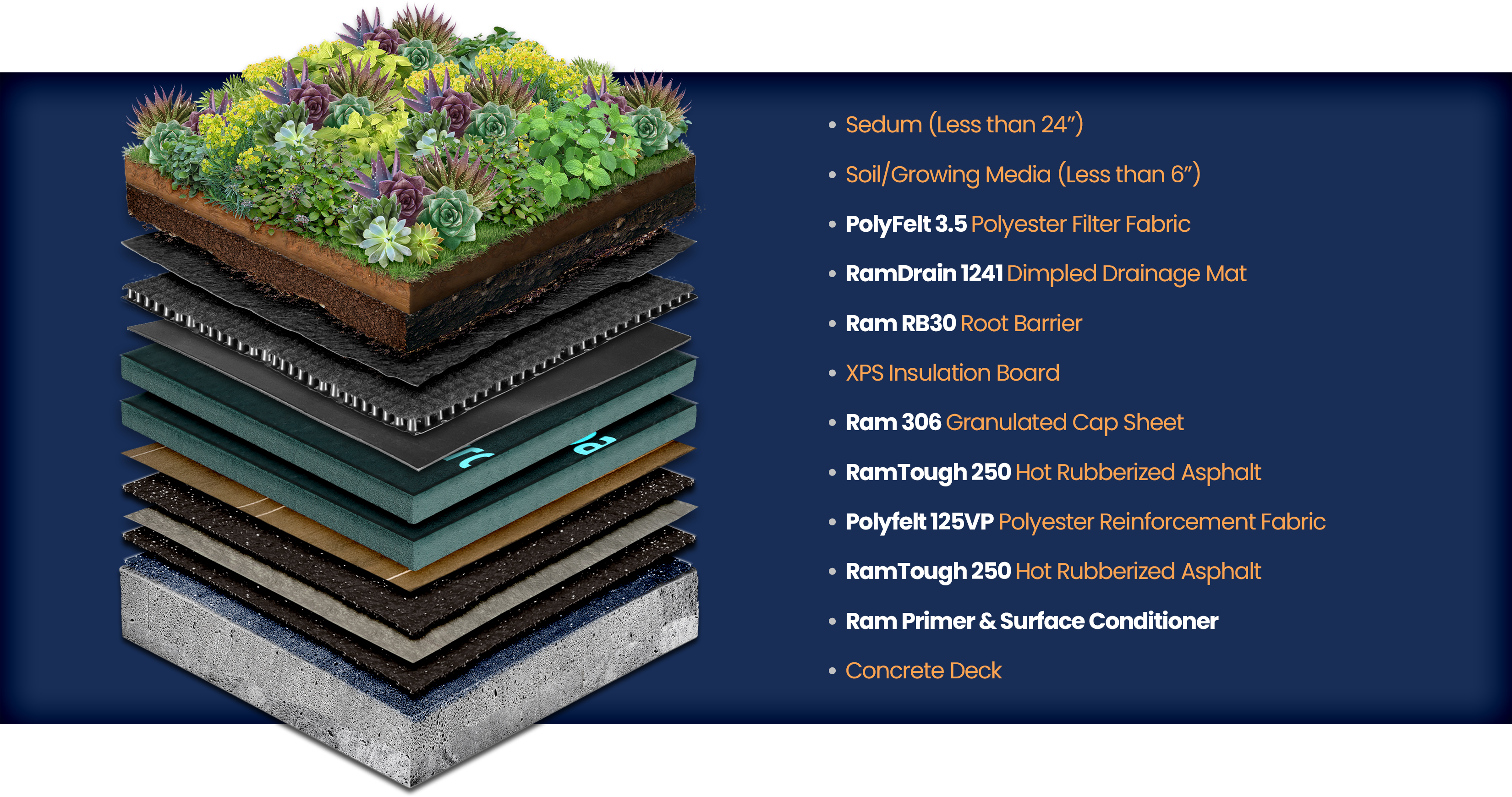 IMF - Greenroof Illustration IMF - Greenroof Illustration