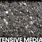 EXTENSIVE MEDIA