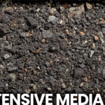 INTENSIVE MEDIA
